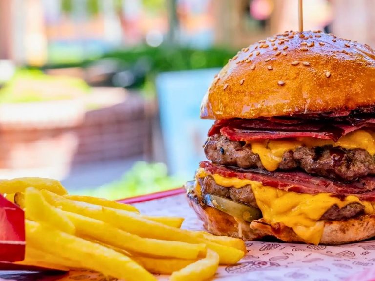 Burger Stop - Theme Park